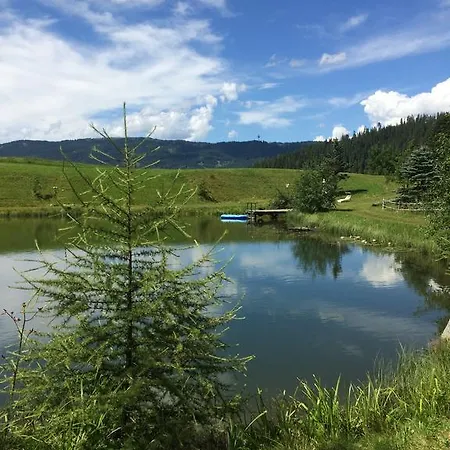 Haus Johanna Διαμέρισμα *