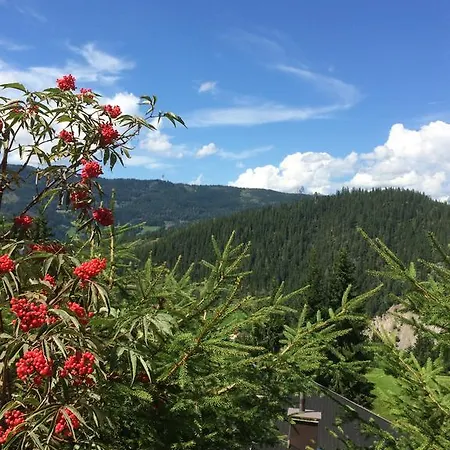 Haus Johanna * Radstadt